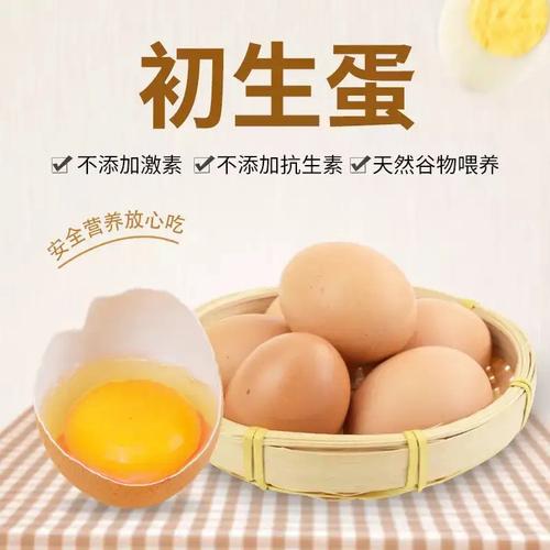珍珠土鸡蛋-珍珠土鸡蛋厂家,品牌,图片,热帖