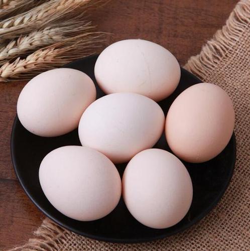 供应 优质鸡蛋农家自产新鲜营养鲜鸡蛋48枚礼盒装包邮