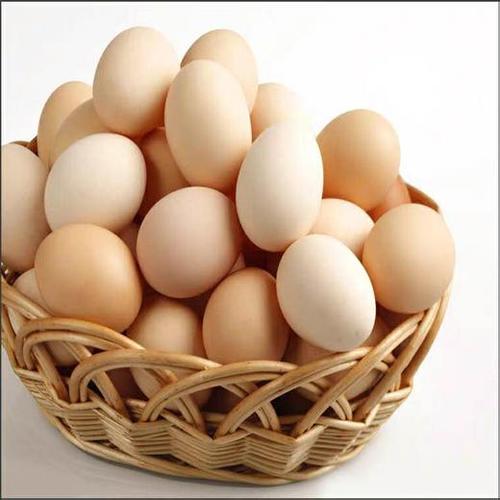 鲜鸡蛋15枚一份