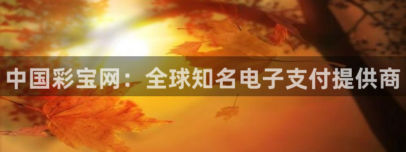 风暴娱乐-ng大舞台,有梦你就来：中国彩宝网：全球知名电子支付提供商