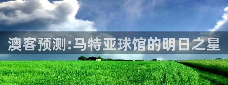 风暴娱乐app官网下载：澳客预测:马特亚球馆的明日之星